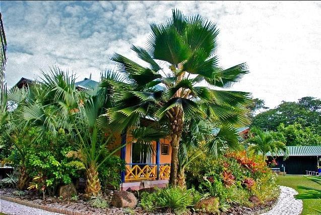 Diguoise Guest House لا ديج المظهر الخارجي الصورة